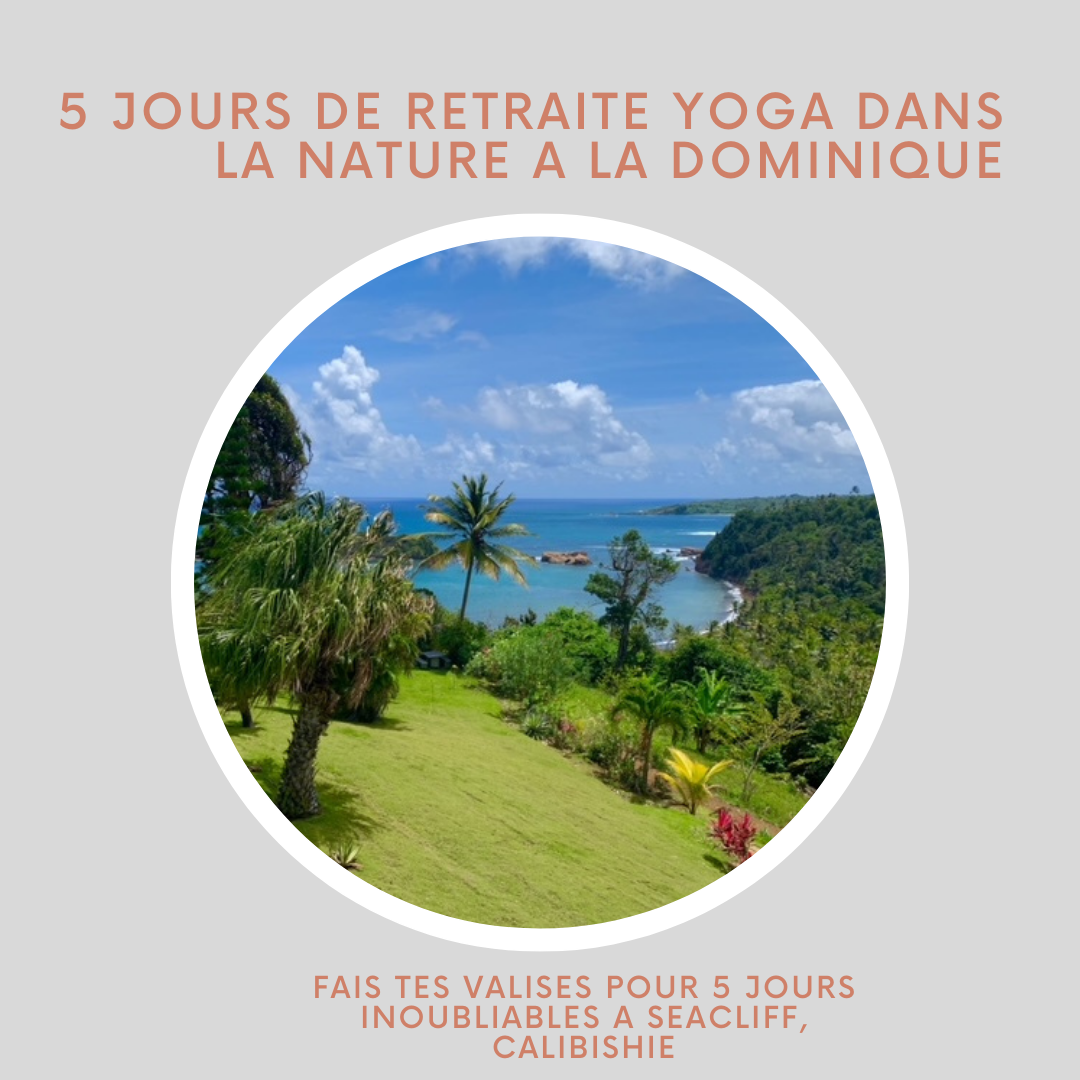 Retraite yoga Dominique