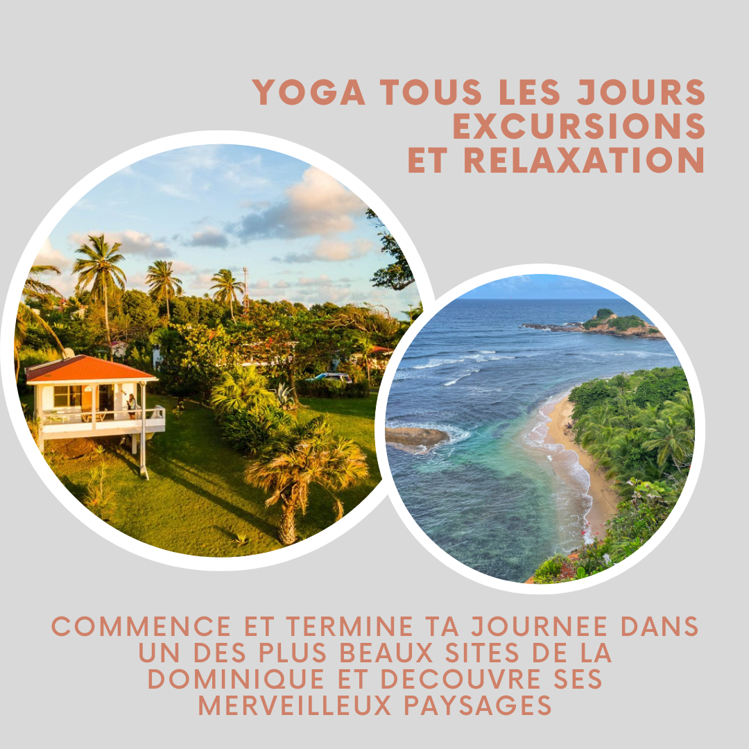 Retraite yoga Dominique